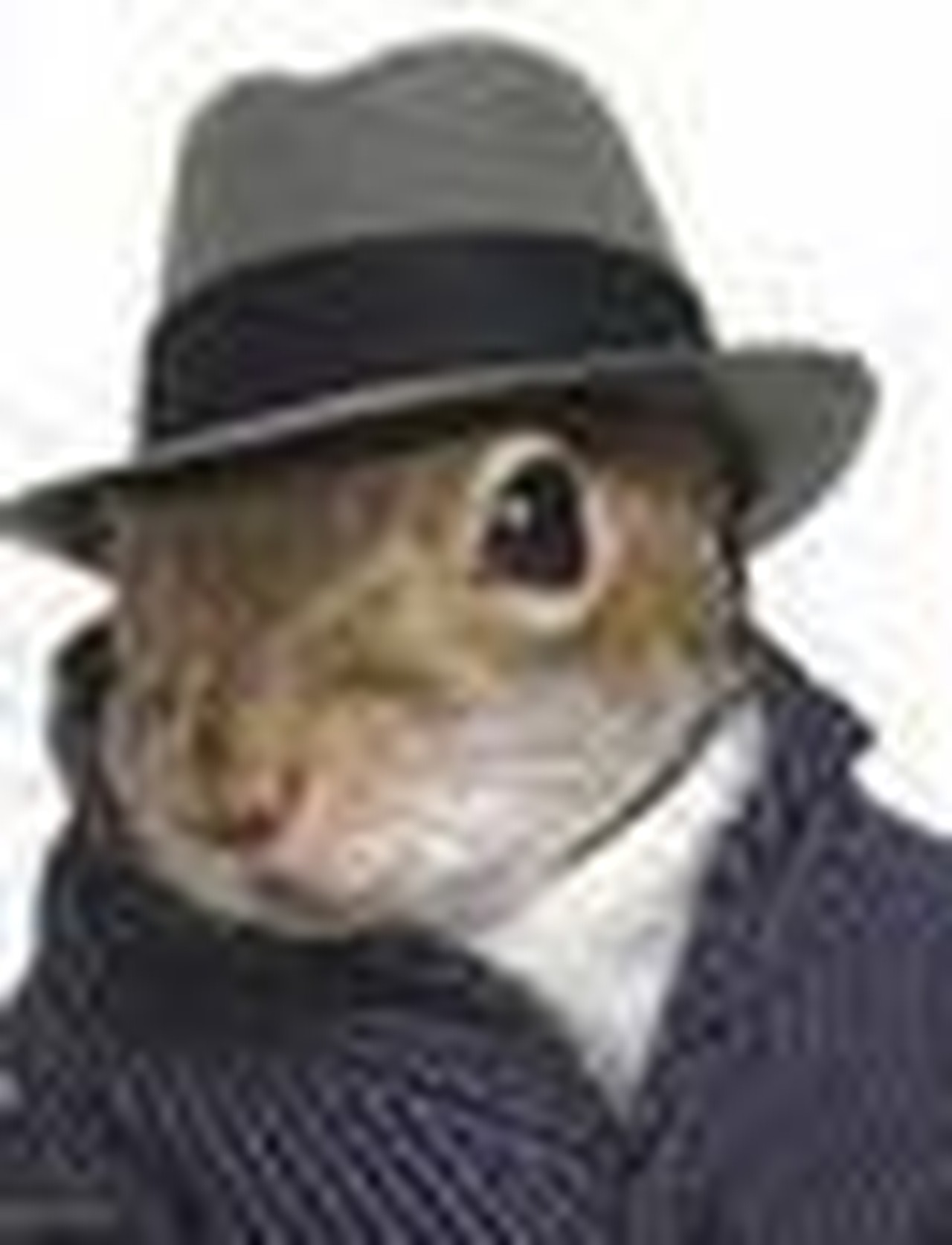 Michael Vincent Dow's profile picture