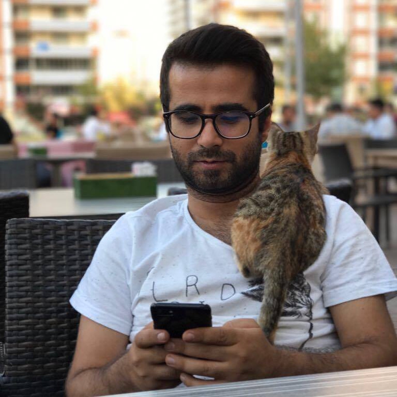 Vedat Baz's profile picture