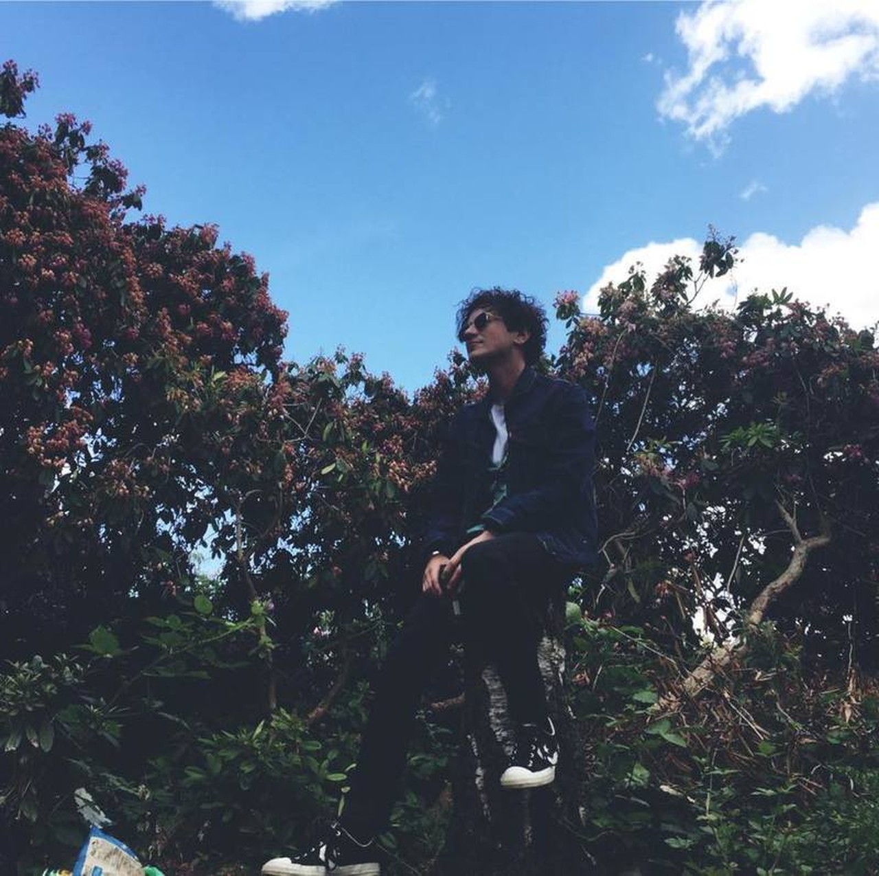 Foto de perfil de Tony