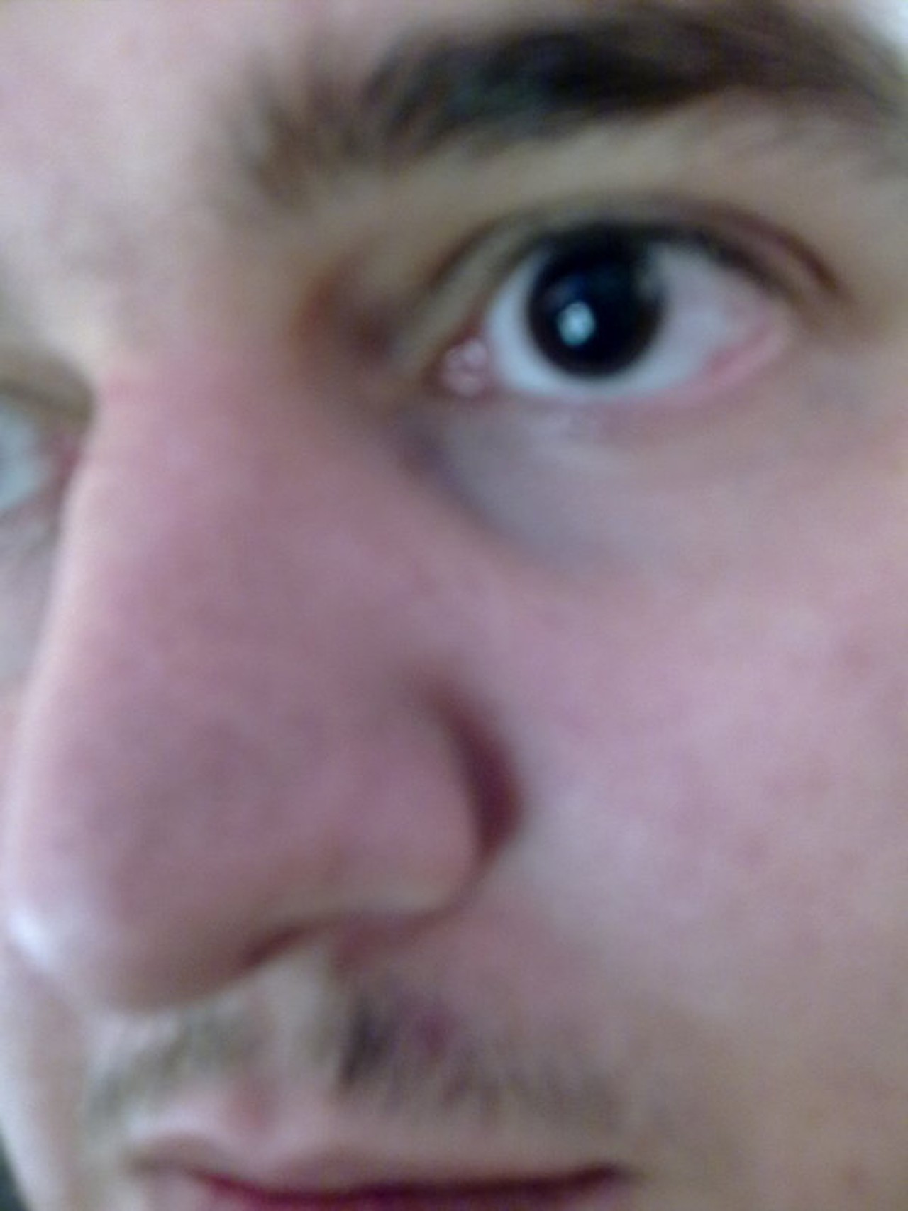 Jestas's profile picture