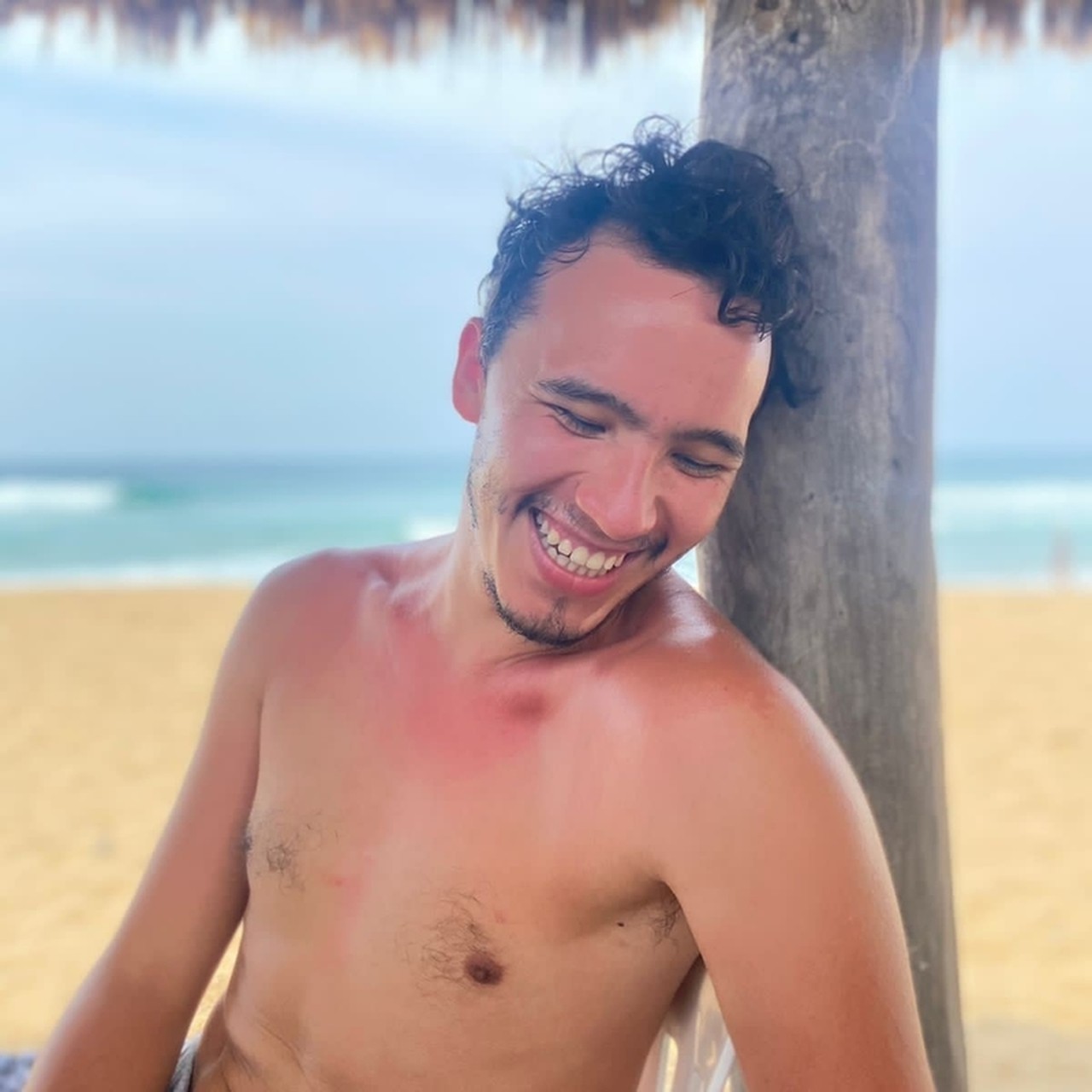 Marco T. Devars's profile picture