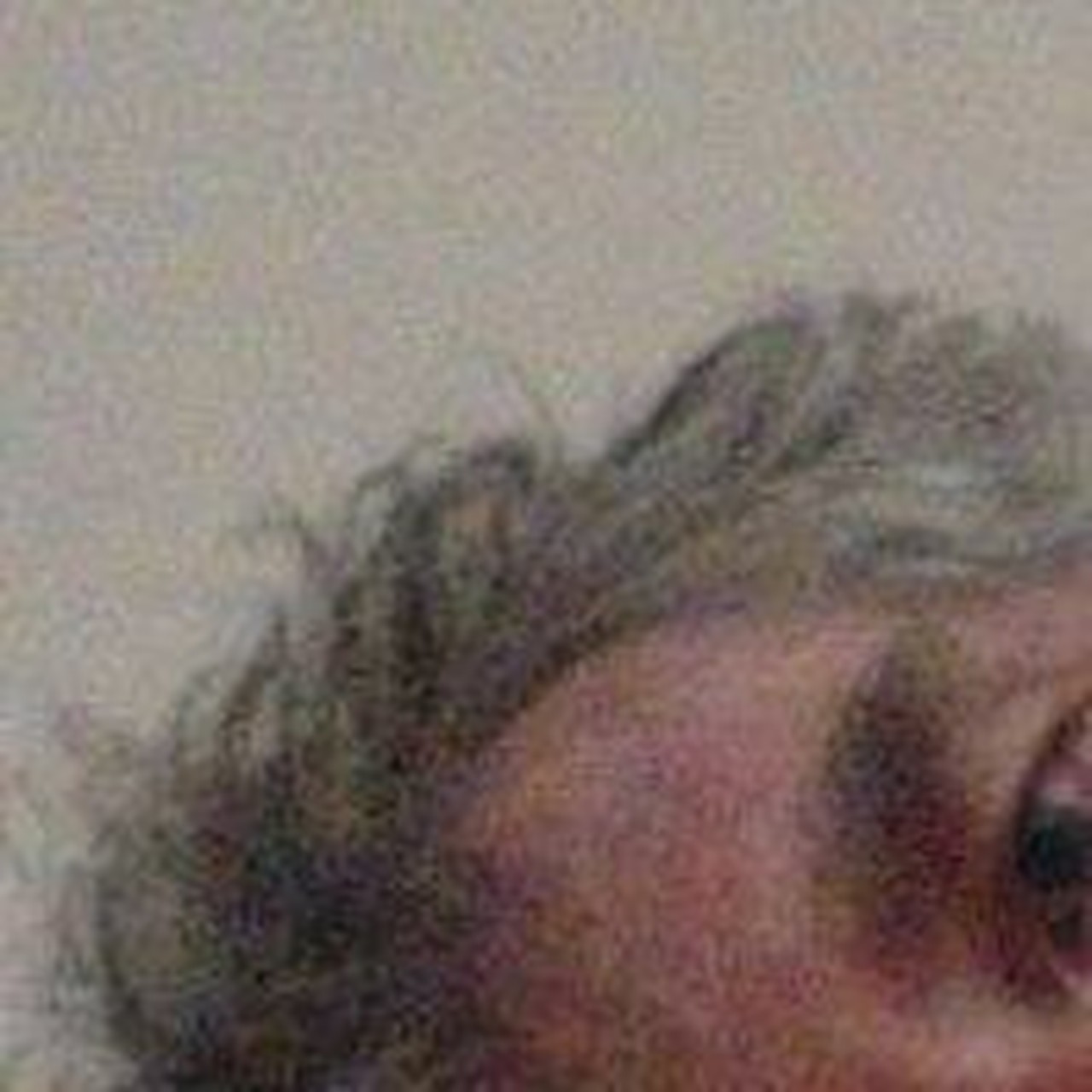 jos van der burg's profile picture