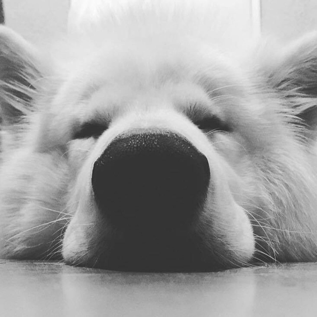 Foto de perfil de JEFF.QVIJANO