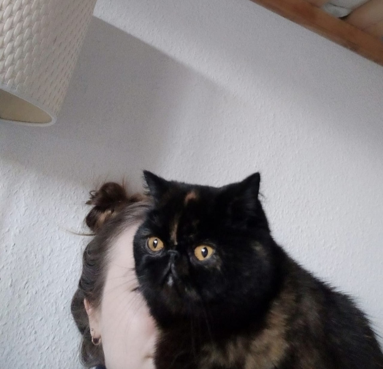 Abigail's profile picture