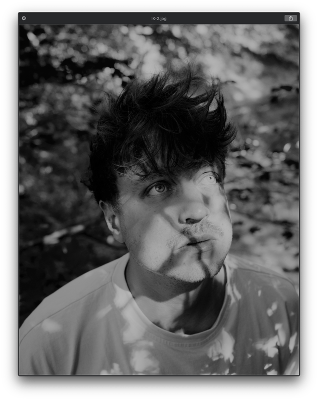 Photo de profil de Daan Kamphorst
