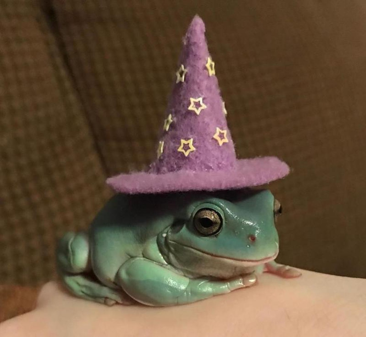 margarita.janzen29's profile picture