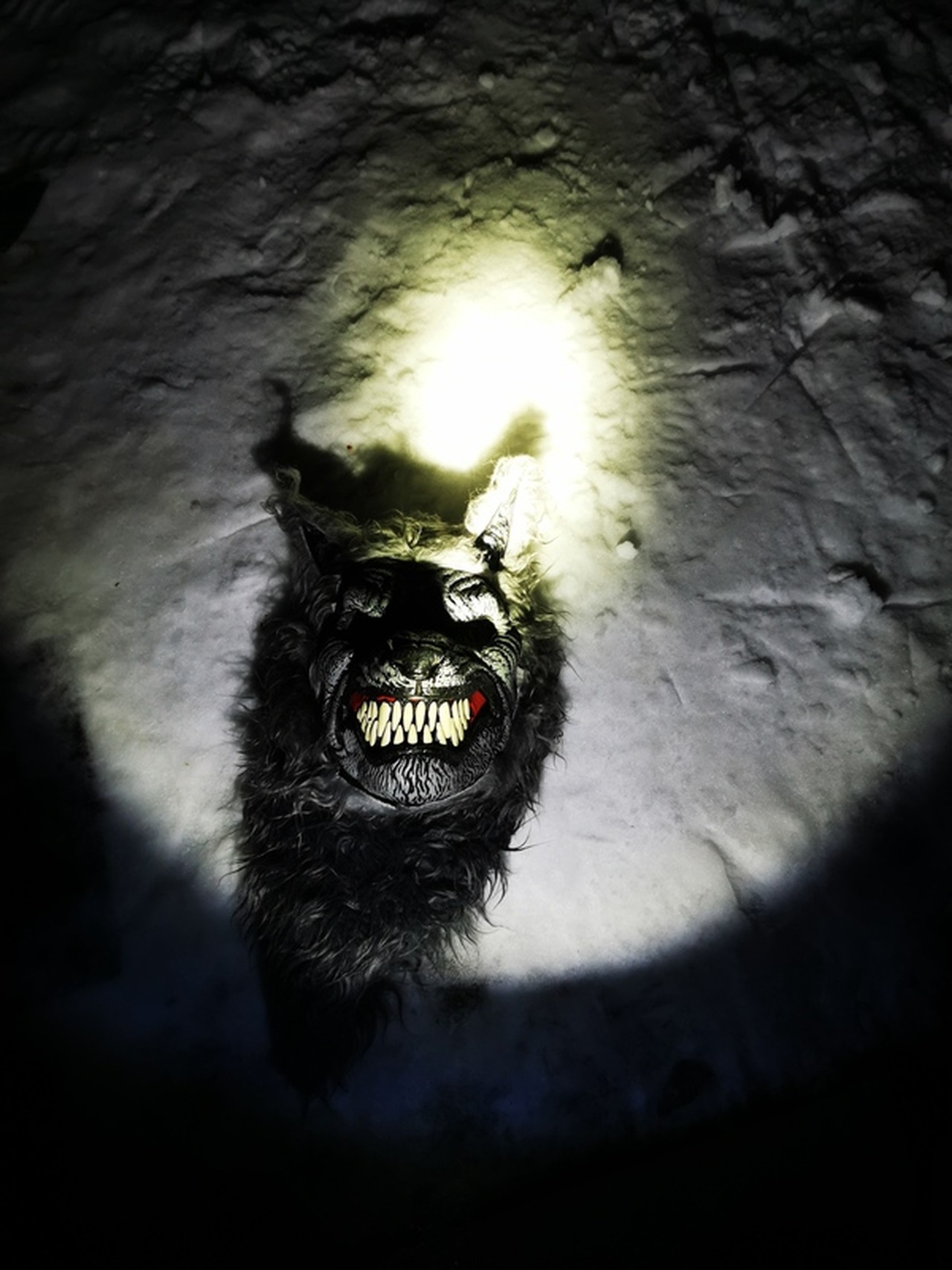 Anna Malkenes's profile picture