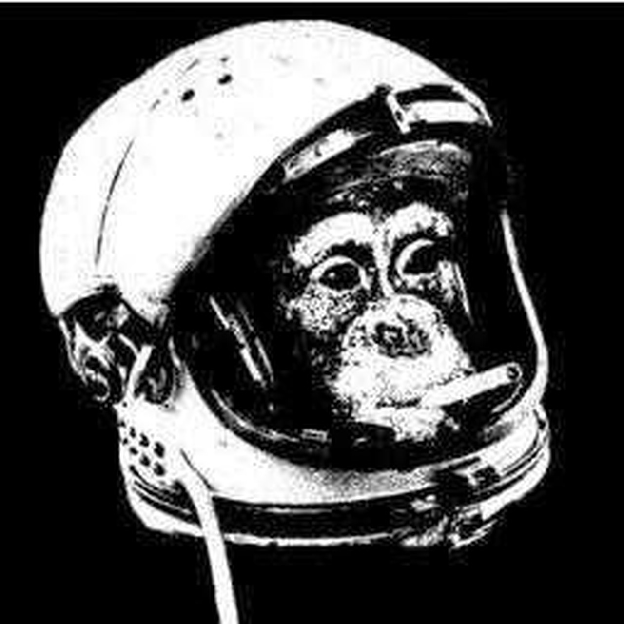 Shoibal Chakravarty's profile picture
