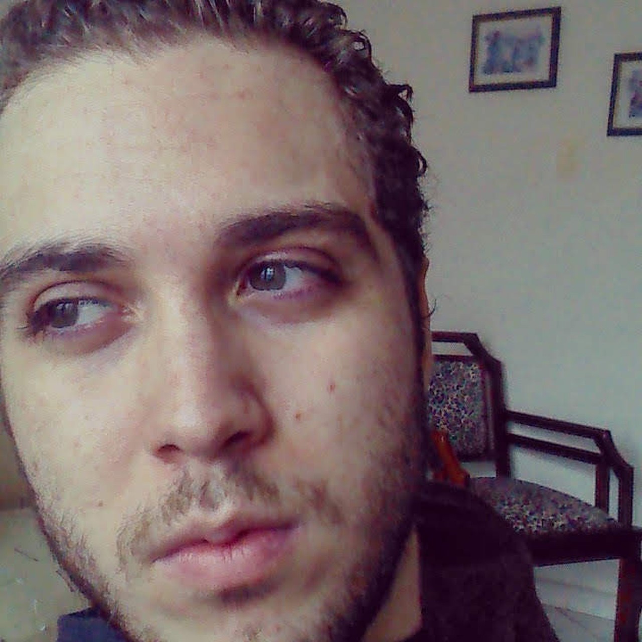 Guilherme Ferro's profile picture