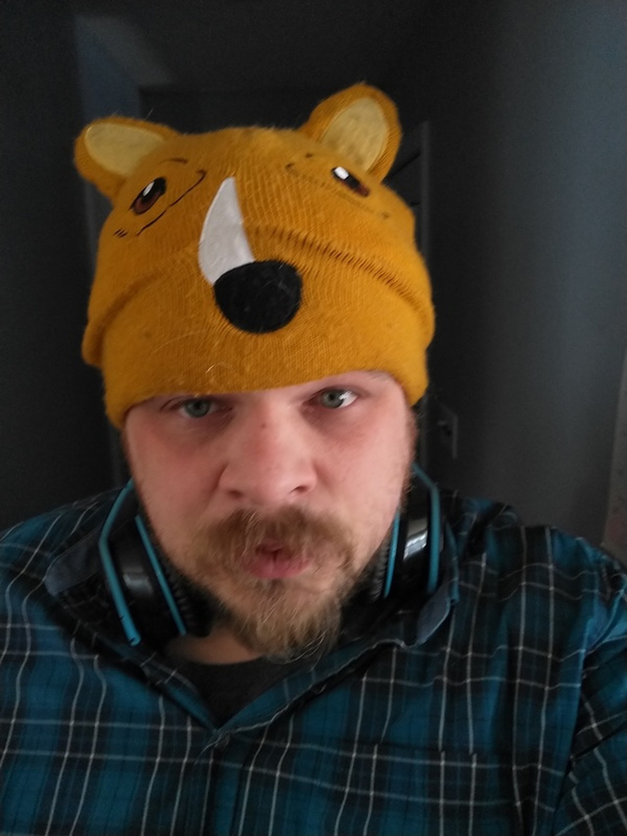 Brawlkowski's profile picture