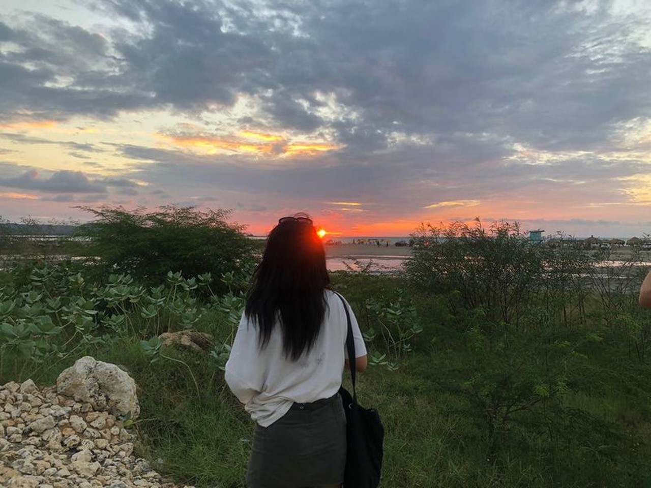 Ann's profile picture