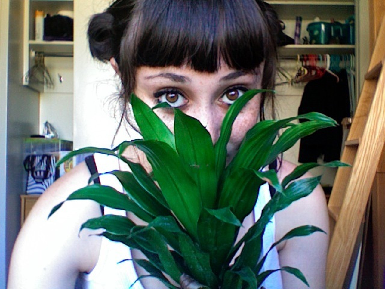 Alix Blevins's profile picture