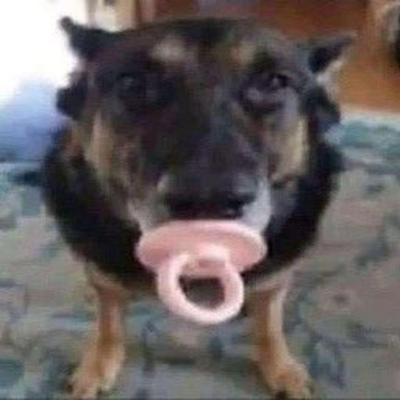 Foto de perfil de mmrcos