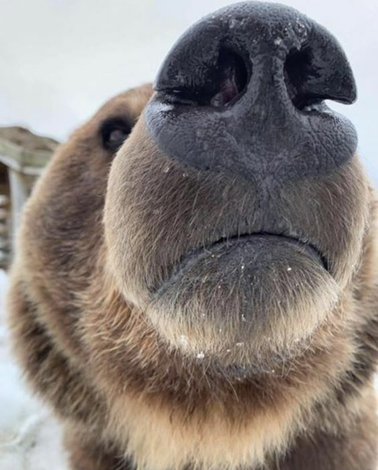 Foto de perfil de Nicolas