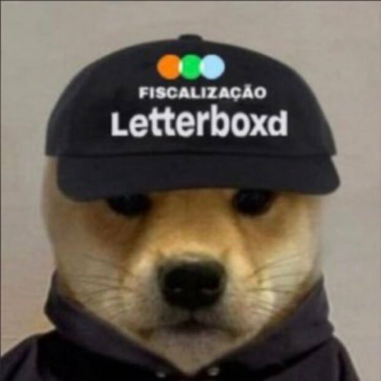 Immagine del profilo di Caio