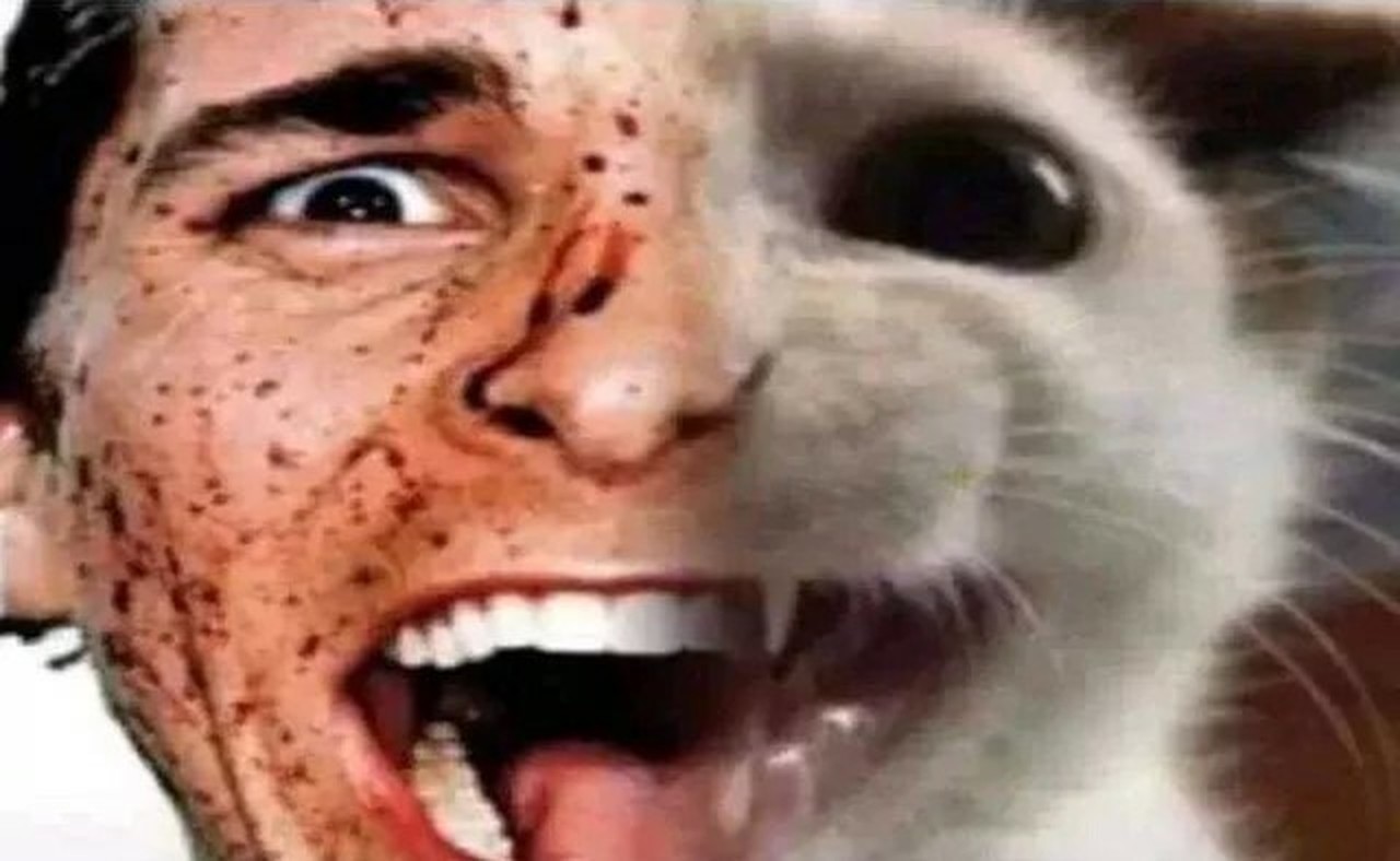MMM's profile picture