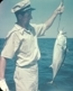 Jeff Reed - Watchlist - MUBI