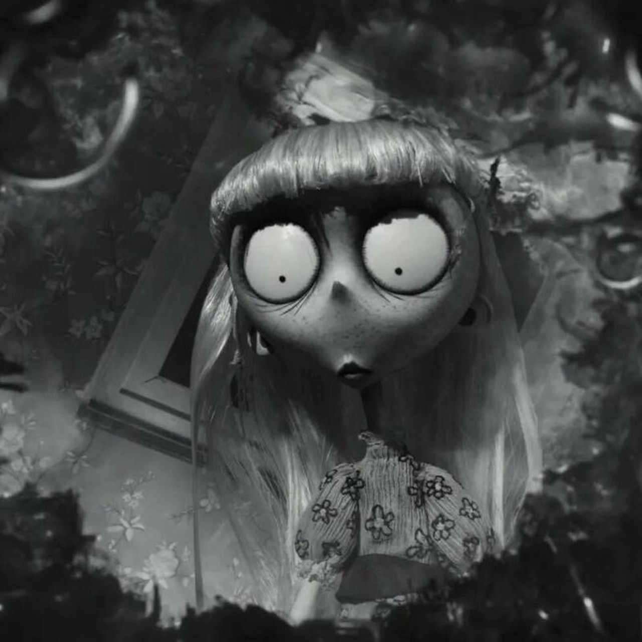 Phaedra Crowe's profile picture