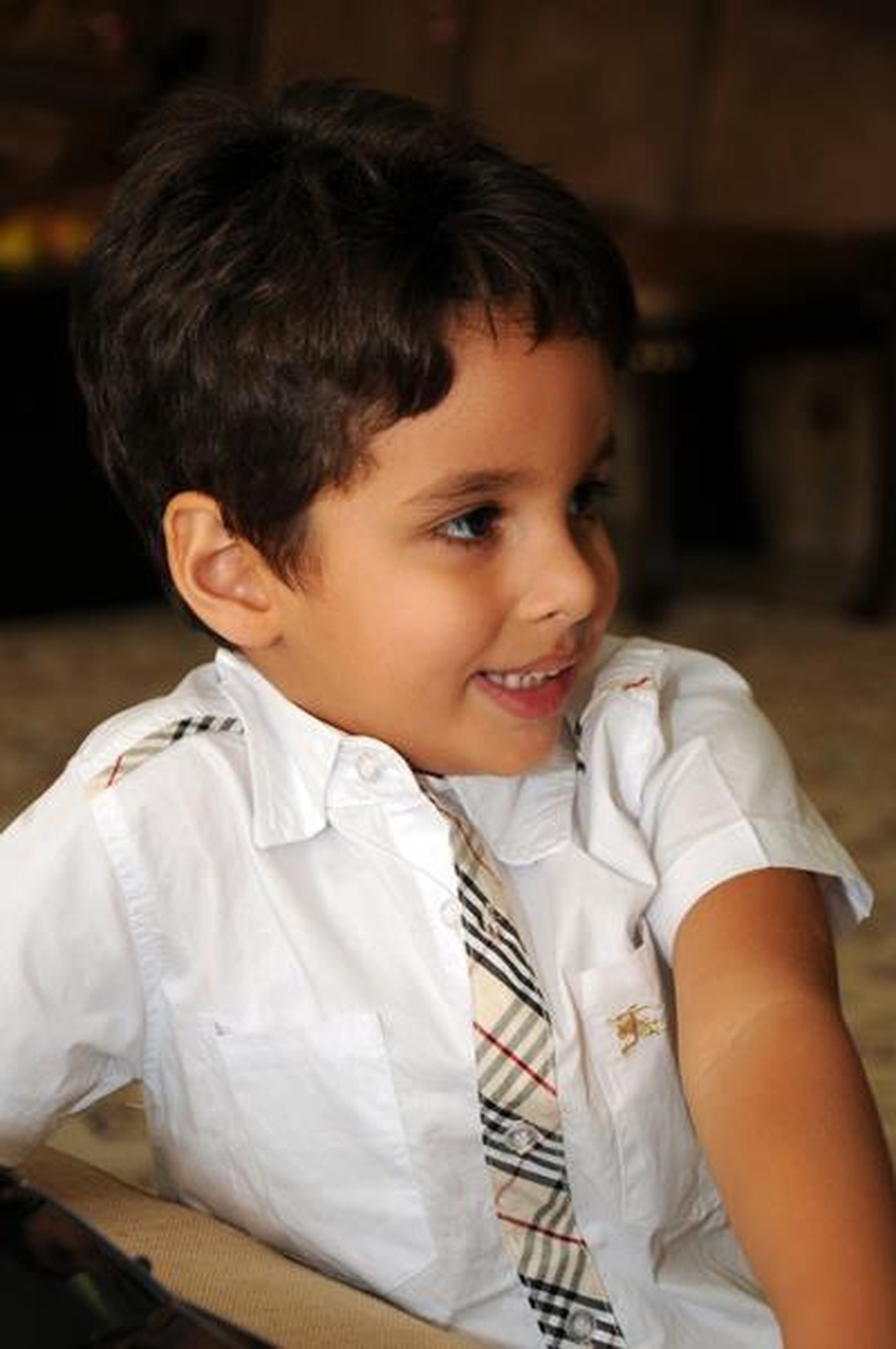 Alireza Mazlaghani's profile picture