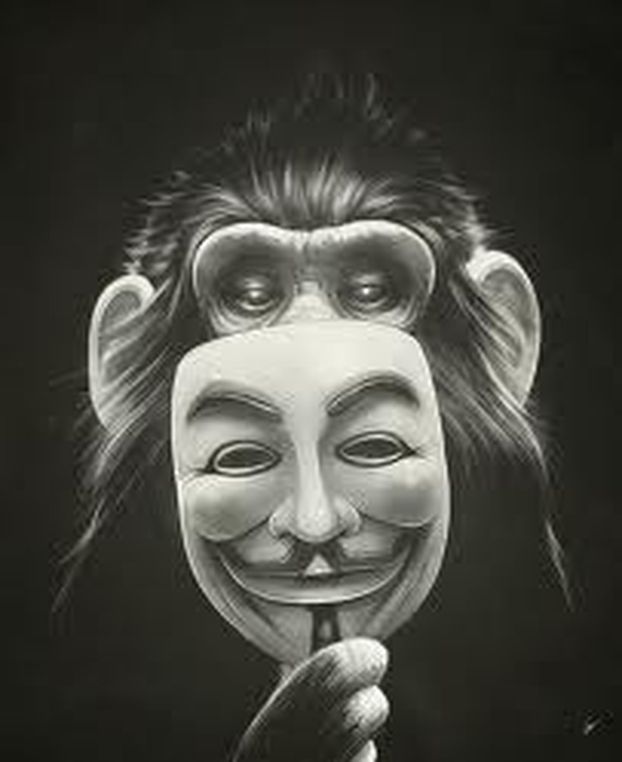 hohume's profile picture