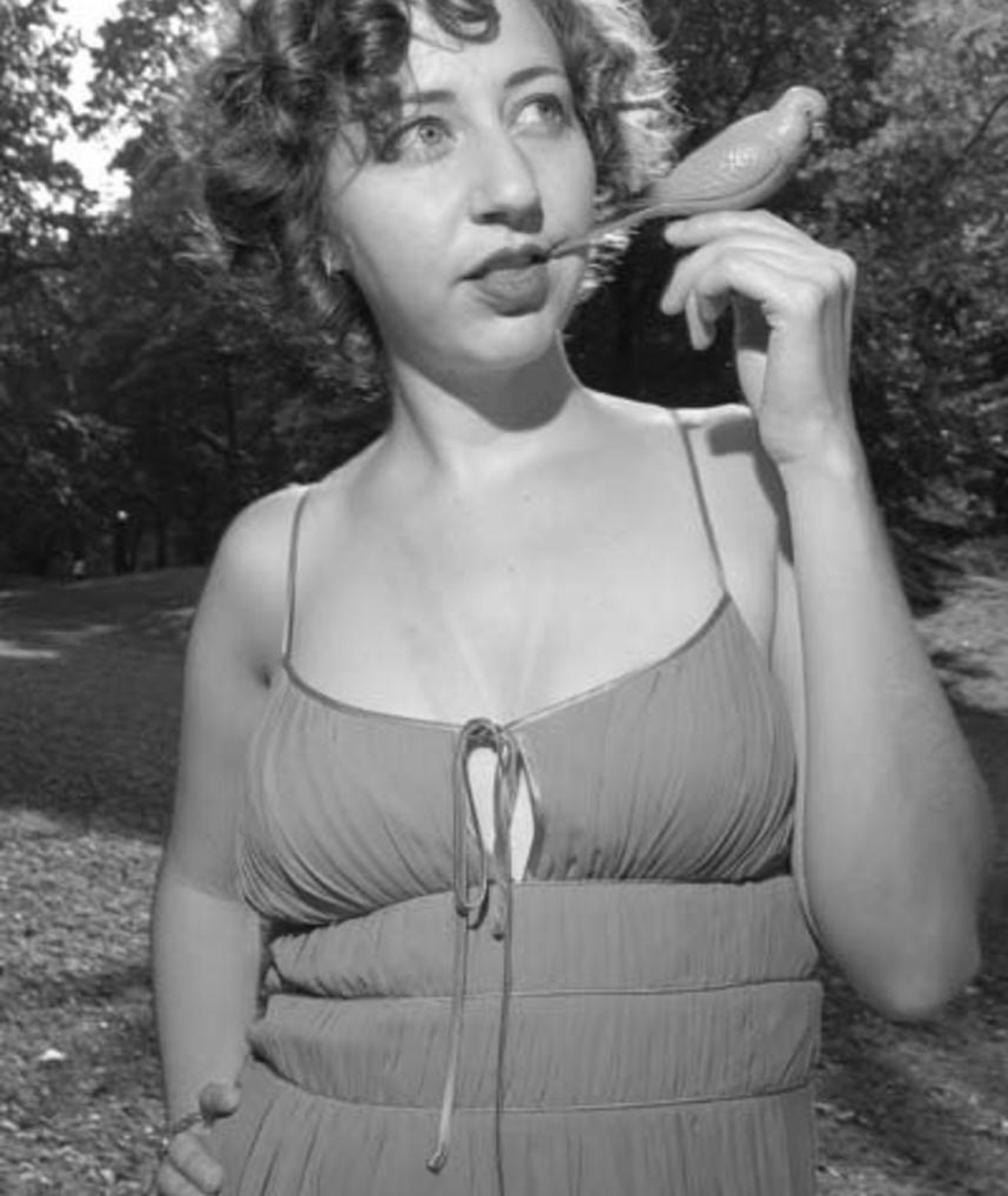 Photo of Kristen Schaal