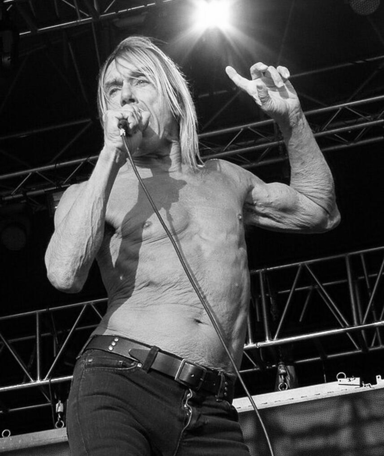 Photo of Iggy Pop