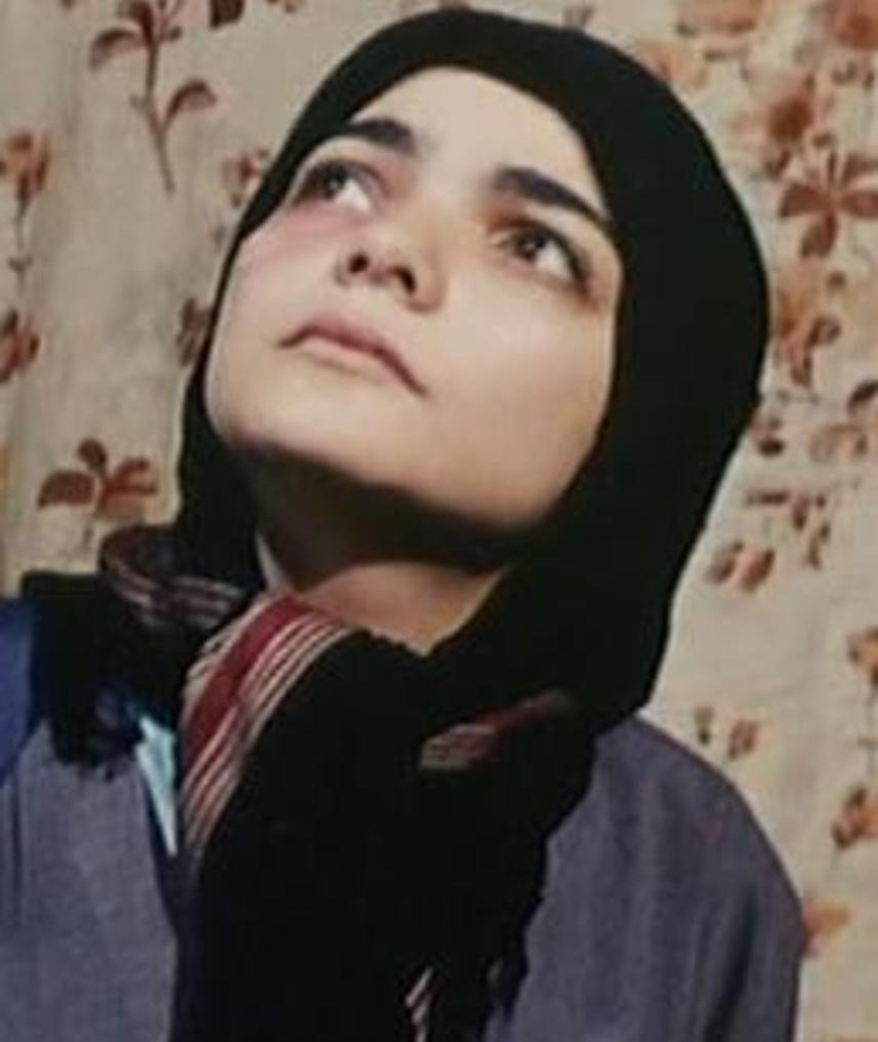 Photo of Nargess Mamizadeh