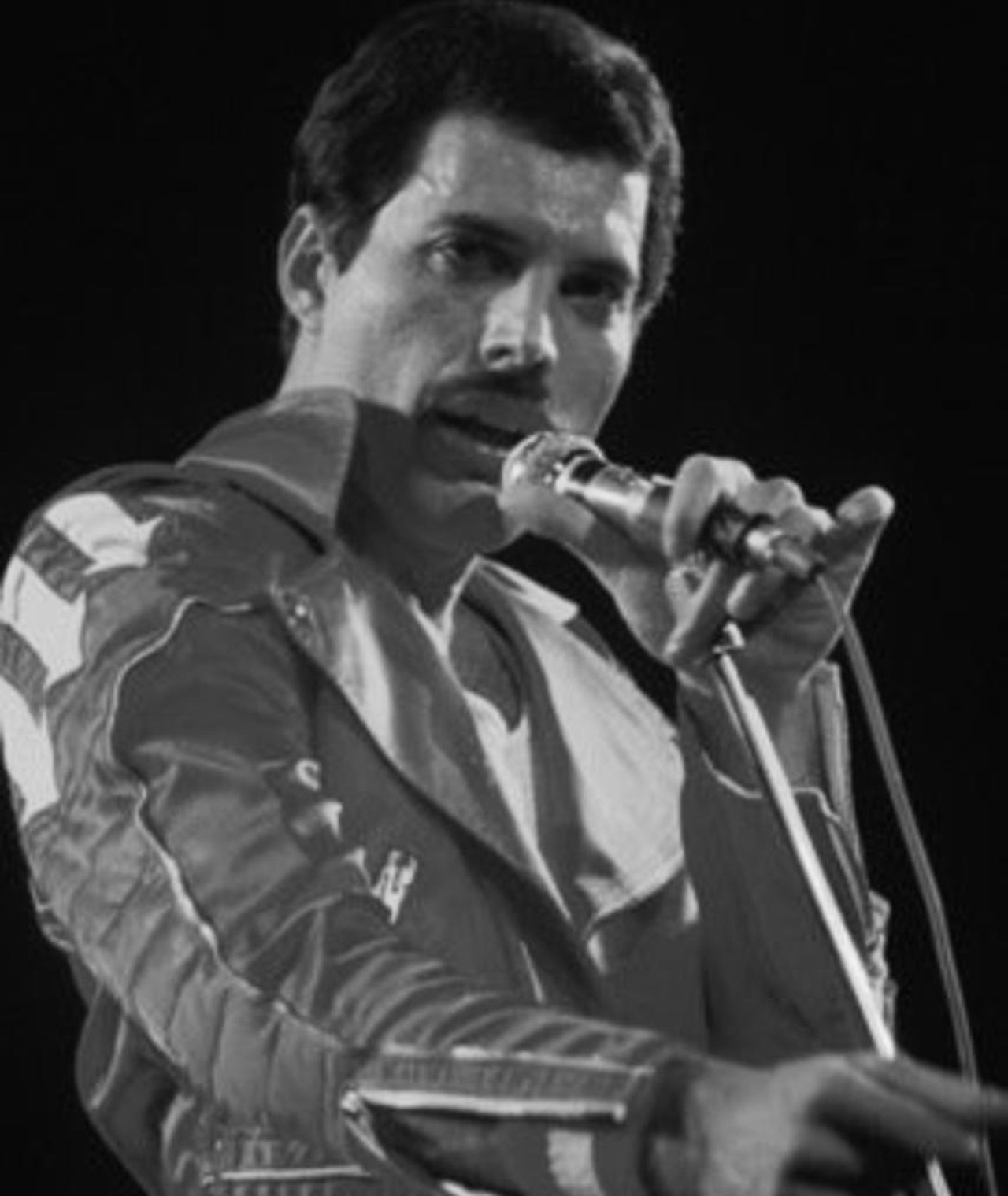 Photo of Freddie Mercury