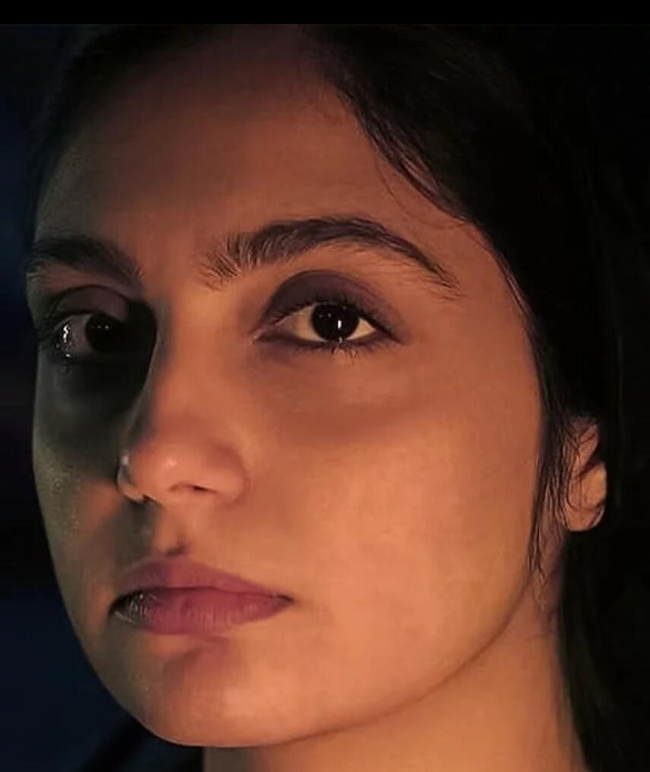 Photo of Setareh Maleki