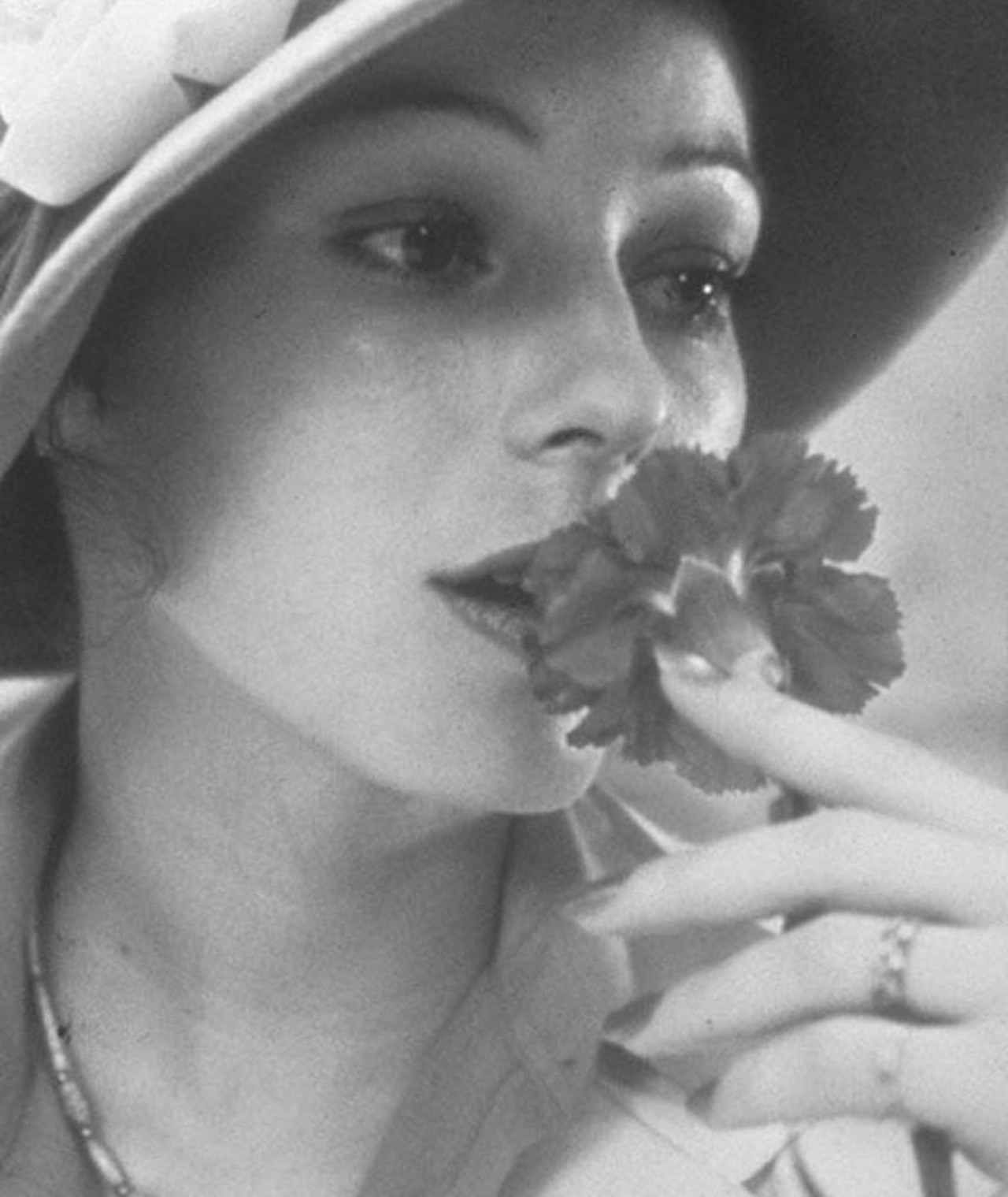 Photo of Annette Haven