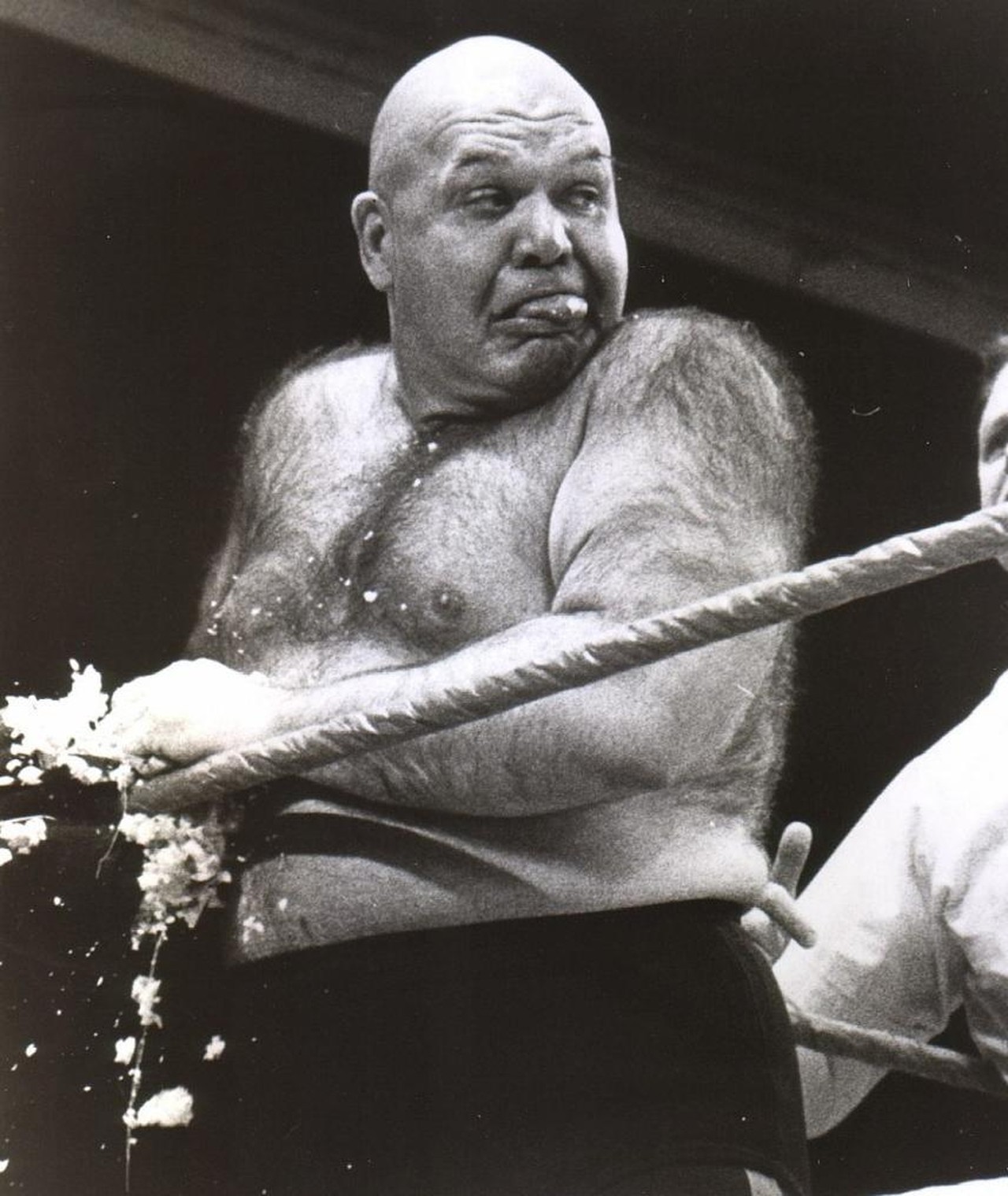 Photo of George 'The Animal' Steele