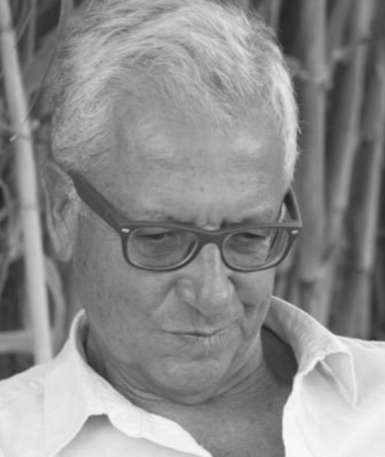 Photo of Mehmet Betil