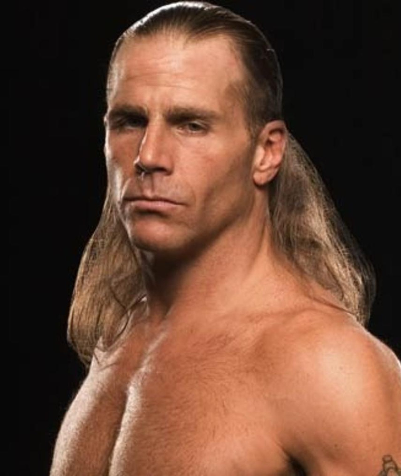 Sean michaels. Shawn Michaels long hair. Brian Grey.