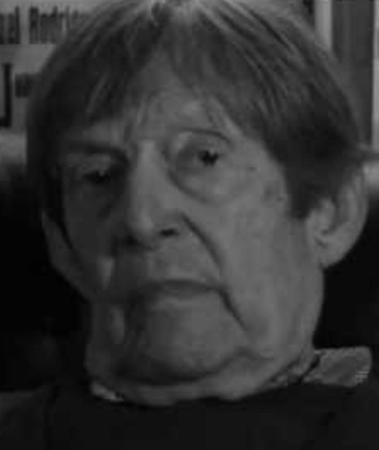 Photo of Judd Bernard