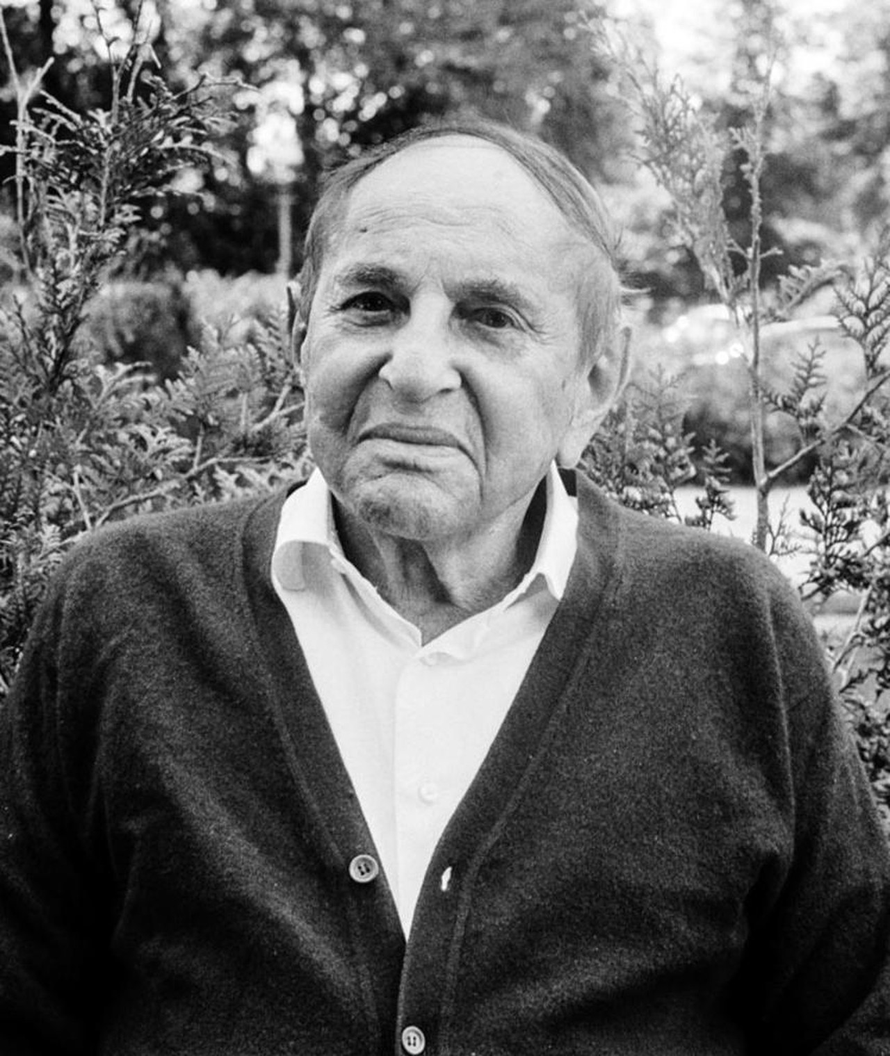 Wolf Brauner – Movies, Bio and Lists on MUBI