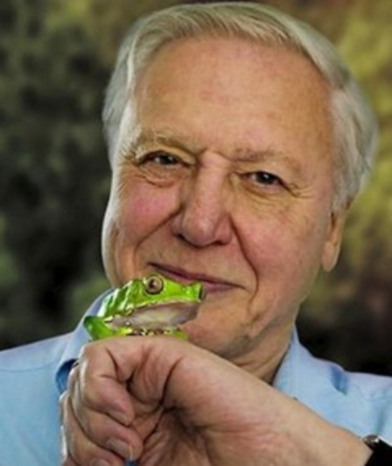 Photo of David Attenborough