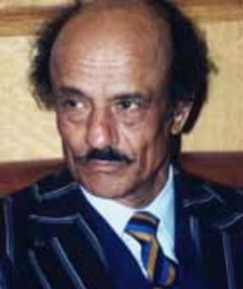 Photo of Houssam El-Din Mustafa