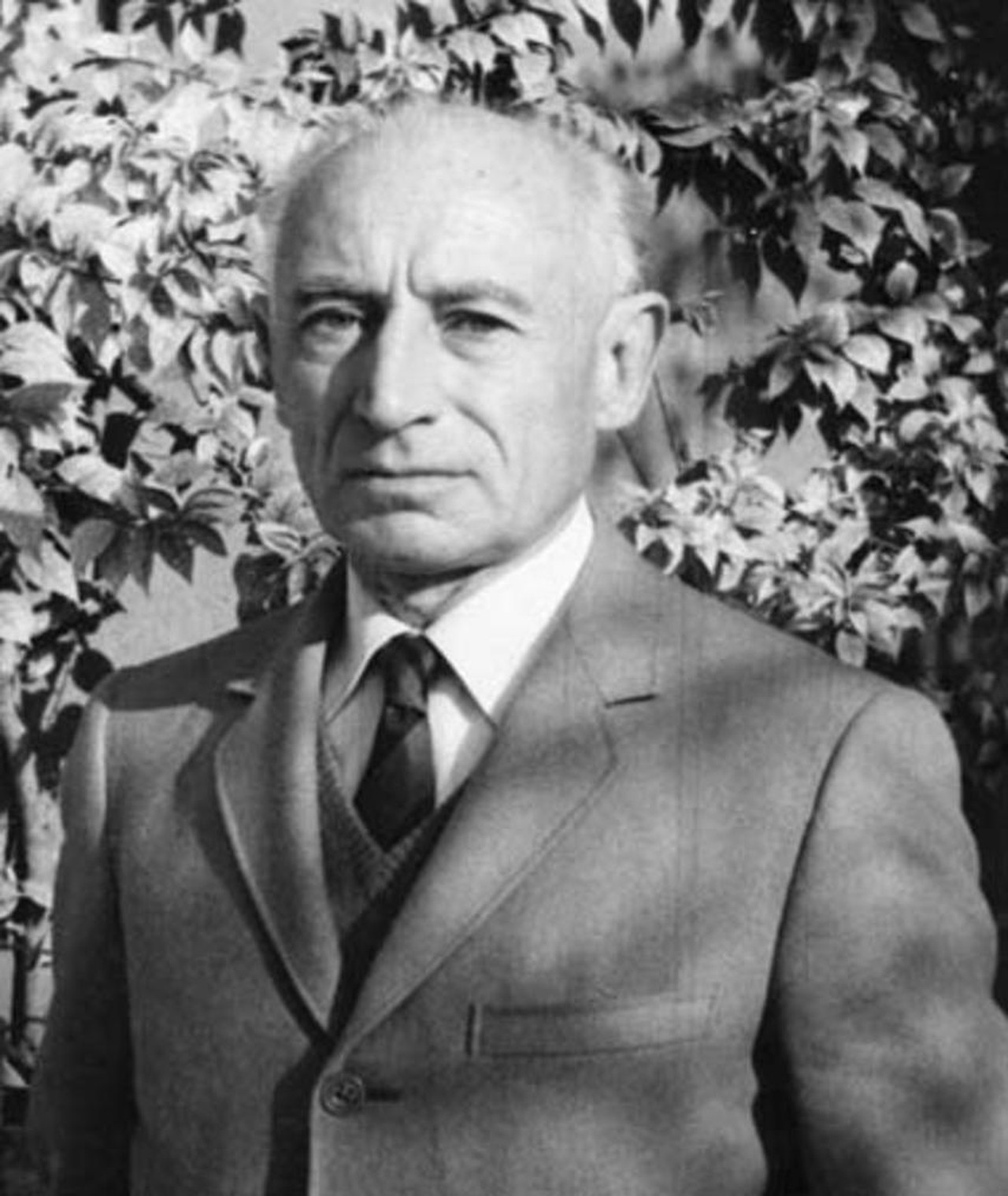 Photo of Tullio Pinelli