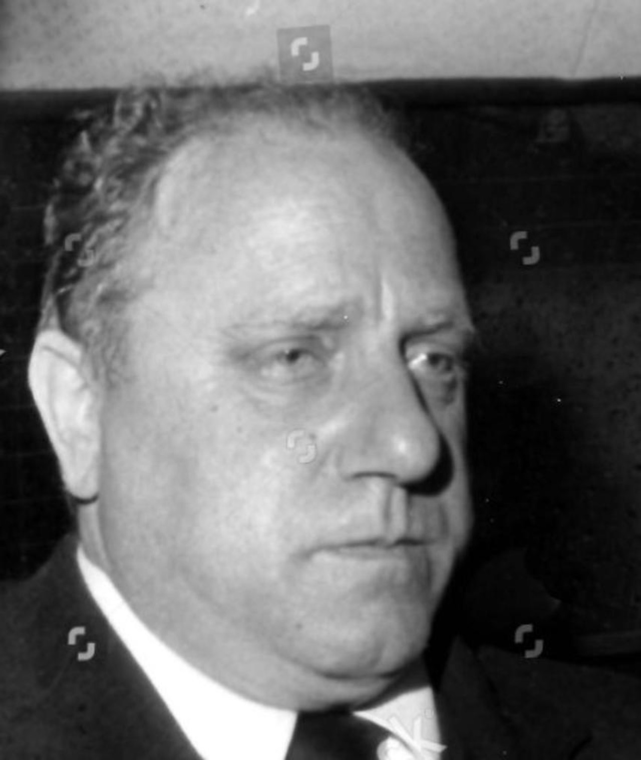 Photo of Gabriele Silvestri