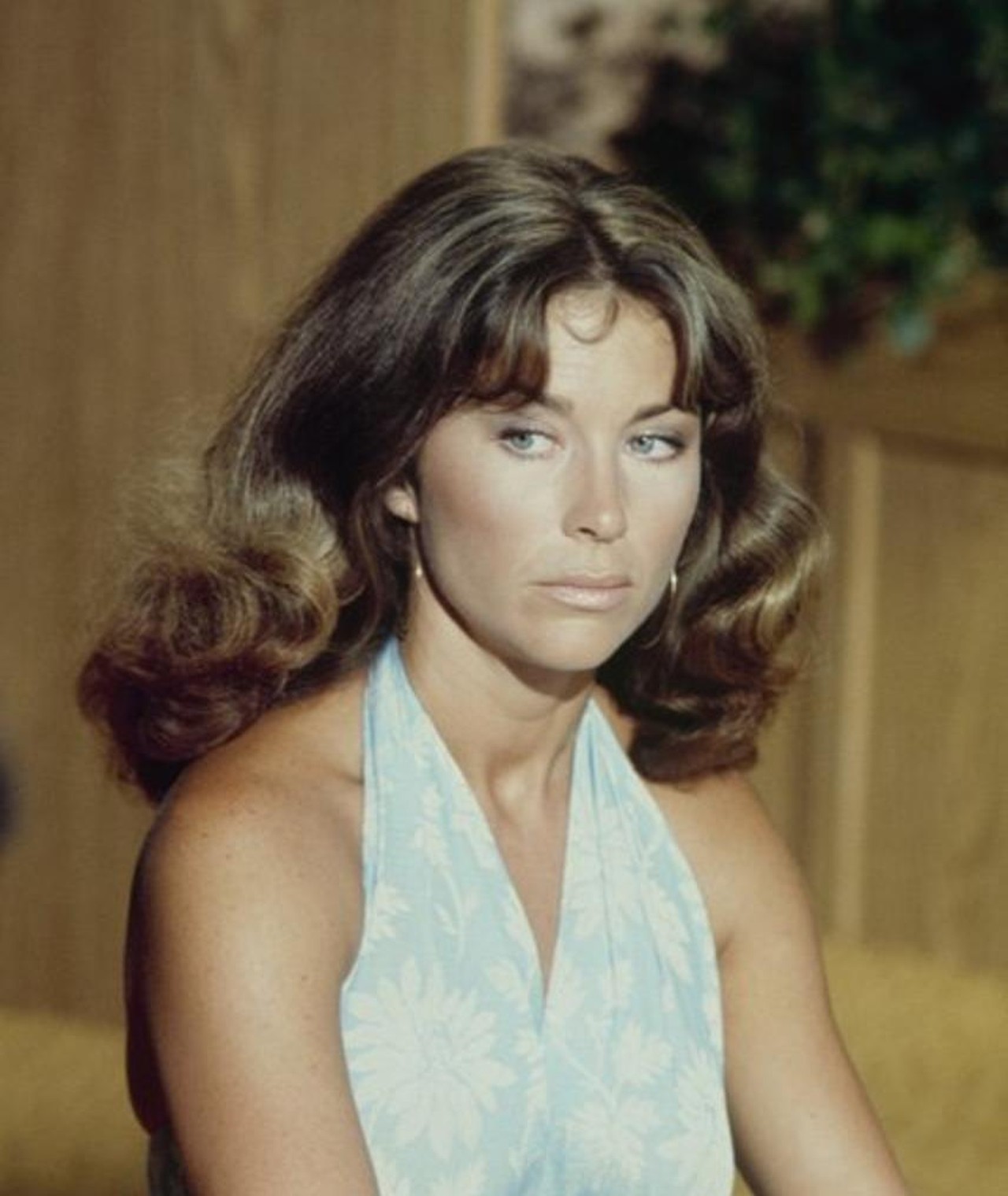 Michele Carey – Movies, Bio and Lists on MUBI