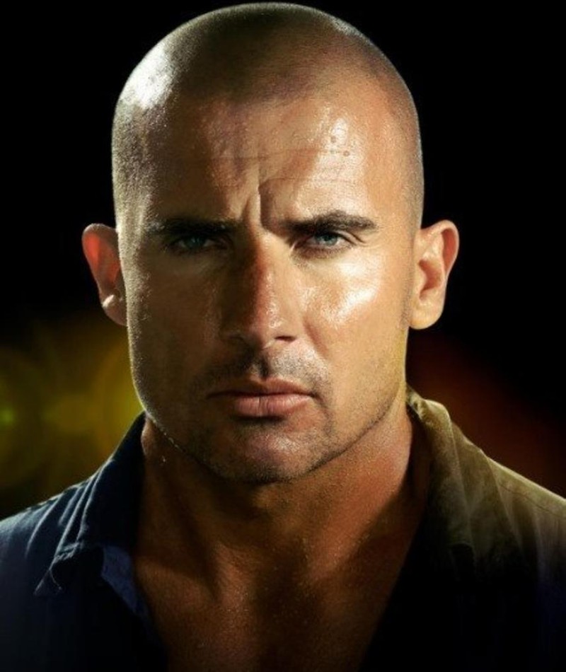 Photo of Dominic Purcell
