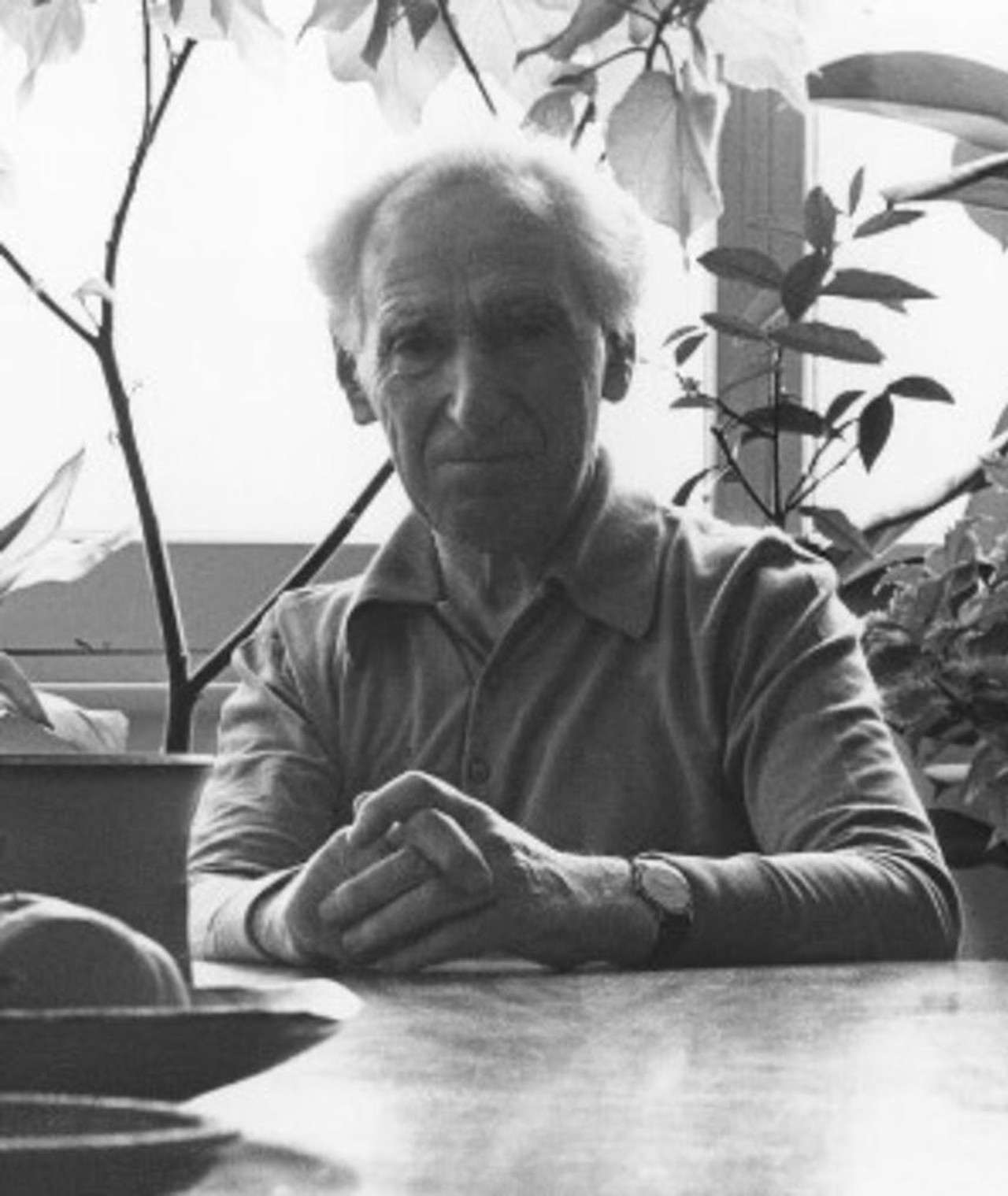 Photo of Oscar Lewenstein