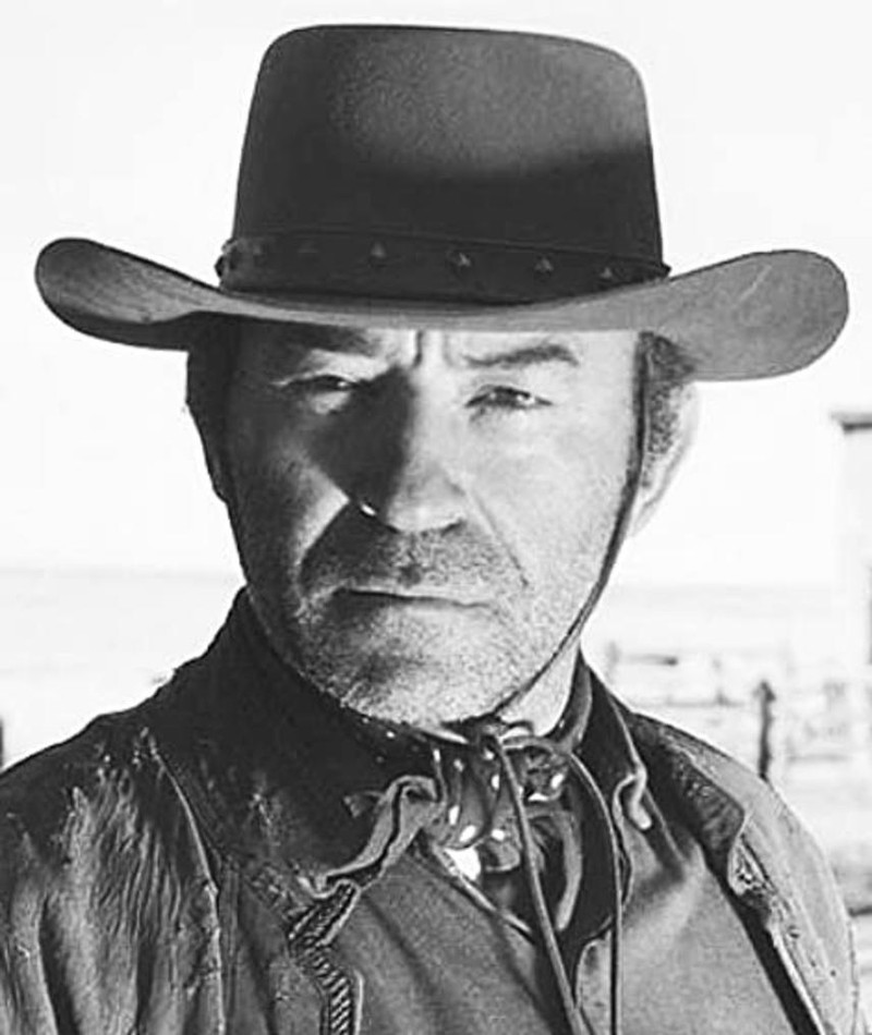 Dave Kashner – Movies, Bio and Lists on MUBI