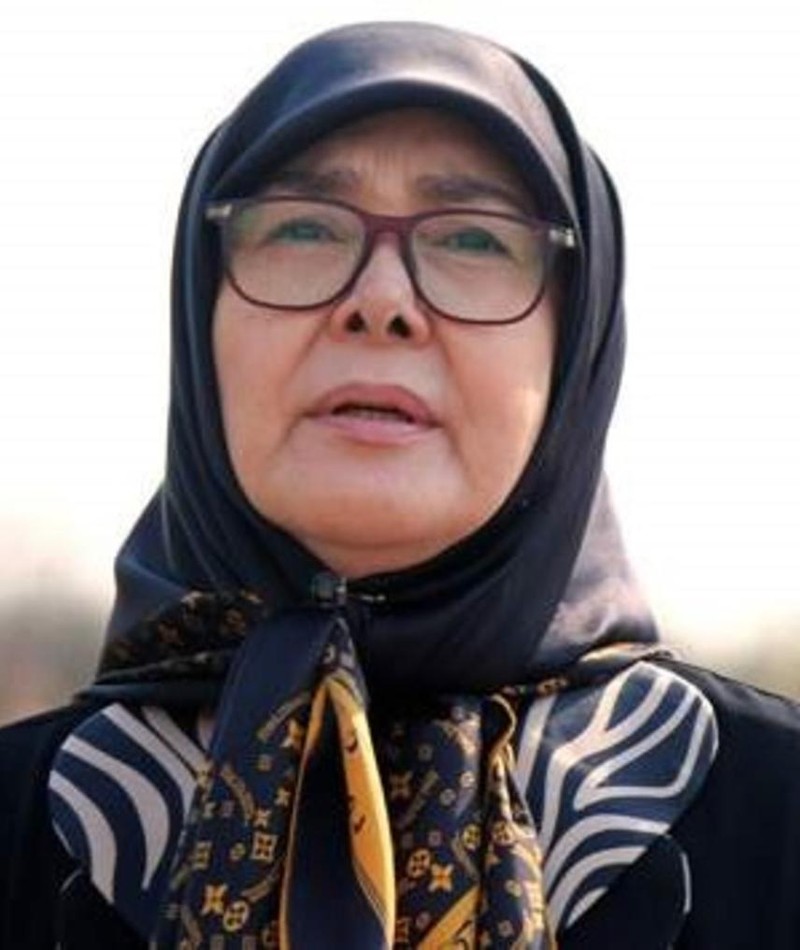 Afarin Obeisi Movies, Bio and Lists on MUBI