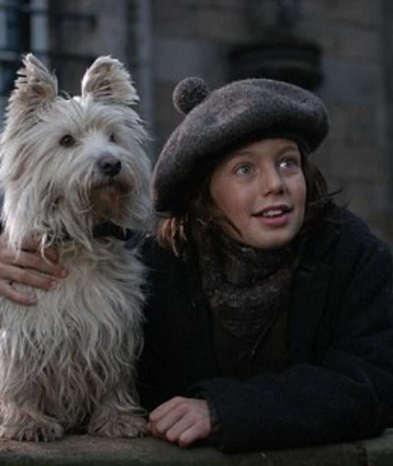 Oliver Golding Movies, Bio and Lists on MUBI