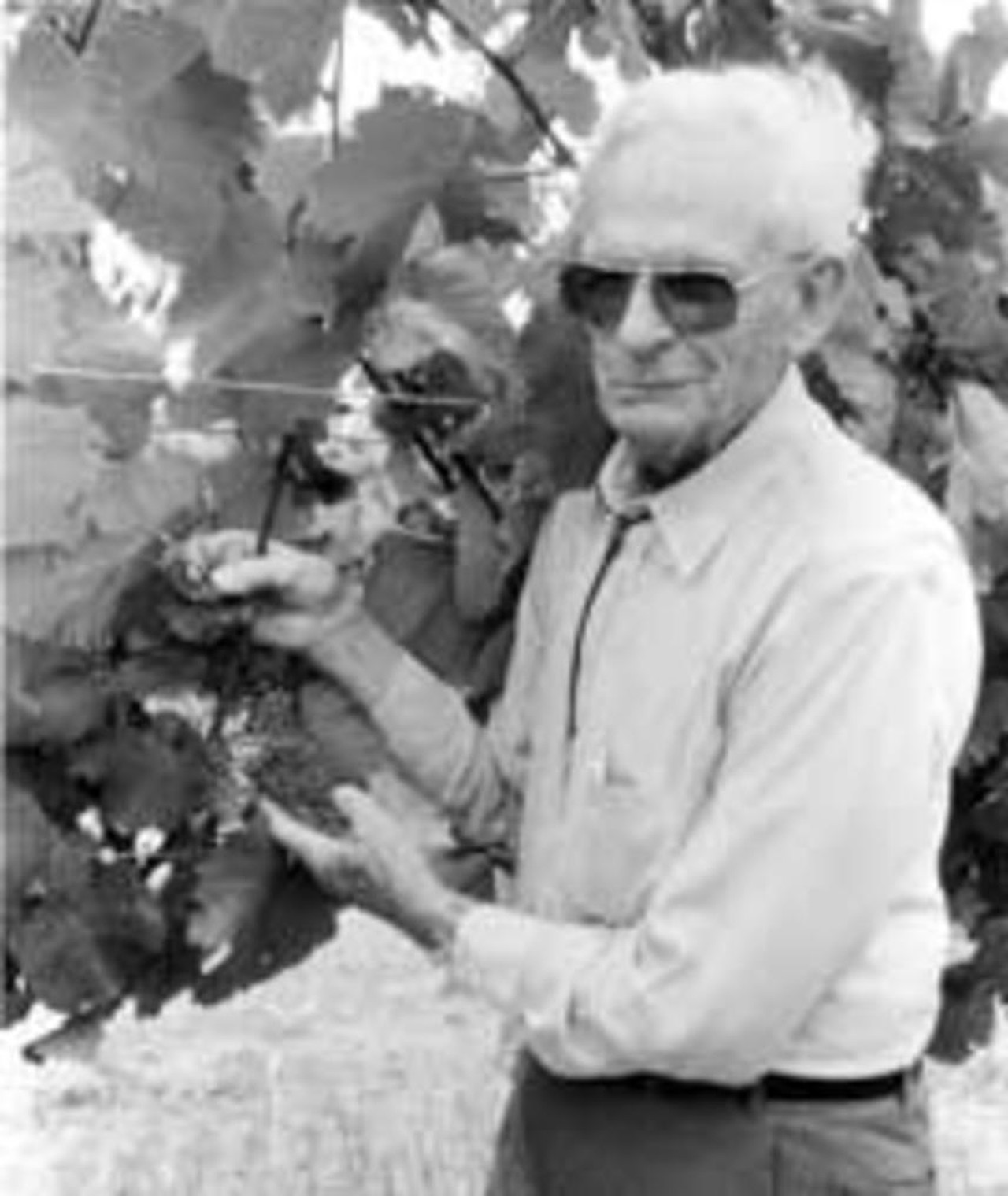 Photo of Leon Clore