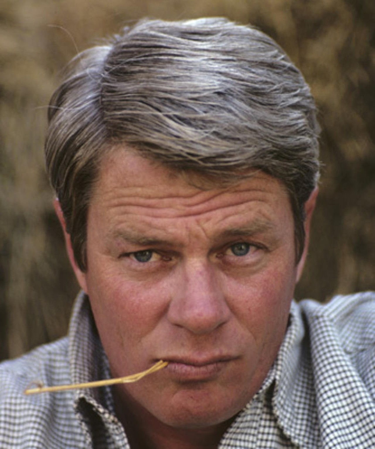 Peter Graves Movies, Bio and Lists on MUBI