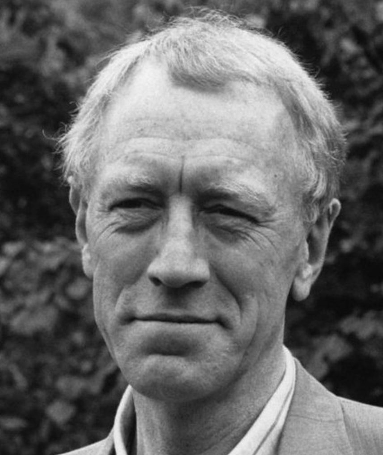 Photo of Max von Sydow
