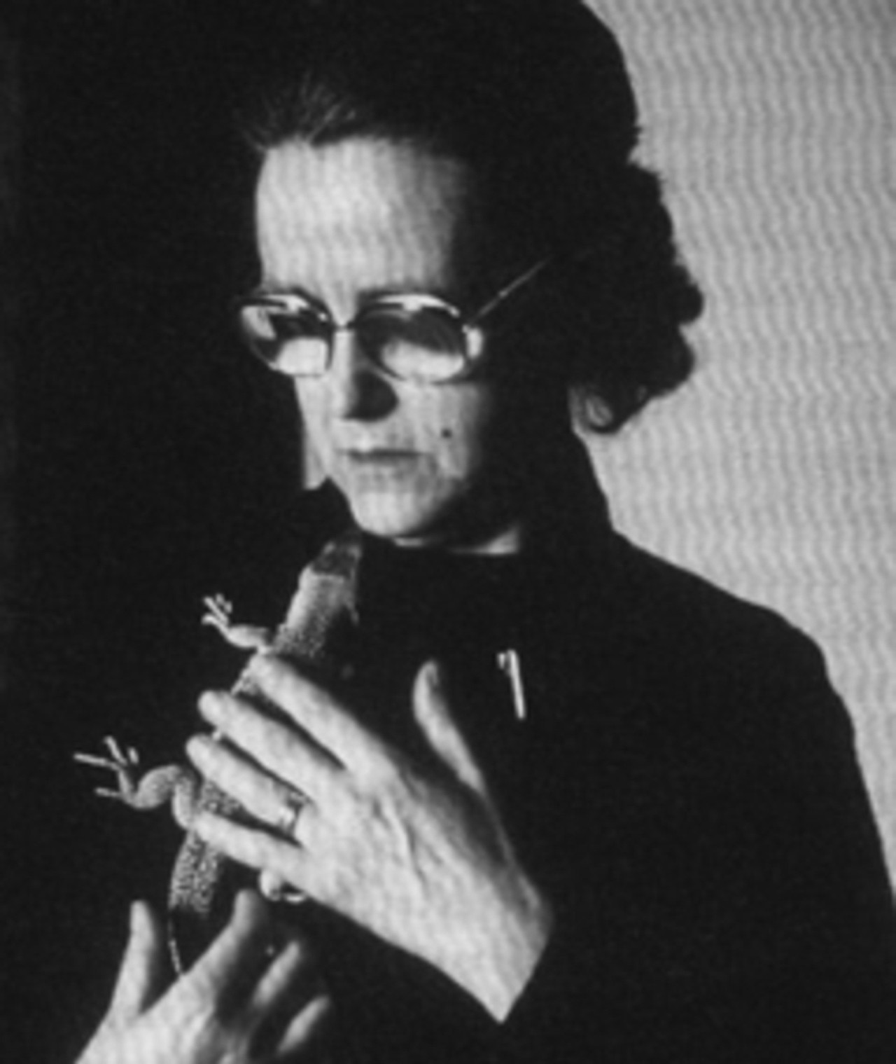 Photo of Chus Lampreave