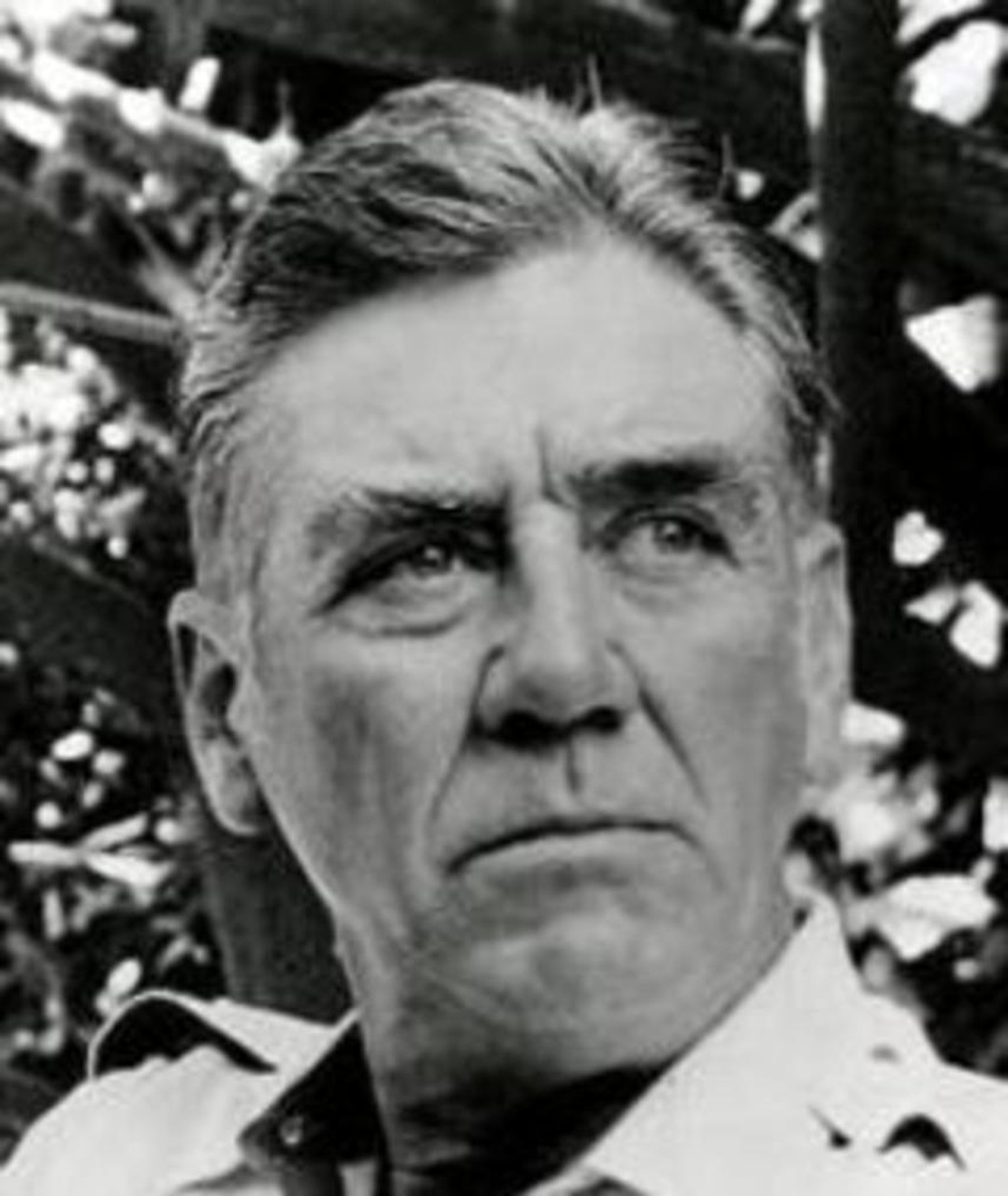 Photo of R. Lee Ermey